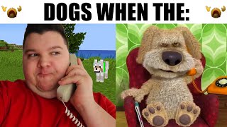 top 5 dogs @Inesense