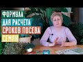 СЕЗОН 2020: СРОКИ ПОСАДКИ ОВОЩЕЙ НА РАССАДУ Производим правильные расчеты / Садовый гид