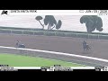Work of the Day at Santa Anita Park: Secured Freedom & Ghostwritten worked on June 5th, 2026