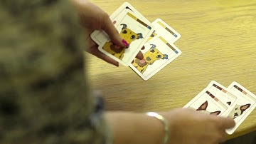 Company introduction Instep