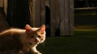 Best Photos Ever | Part 1