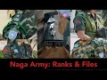 Naga army rank insignia  the pride of naga nation