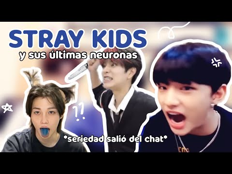 Stray kids FUNNY MOMENTS (because is 2026)