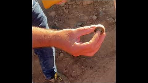 How to Change Teeth on Excavator Buckets