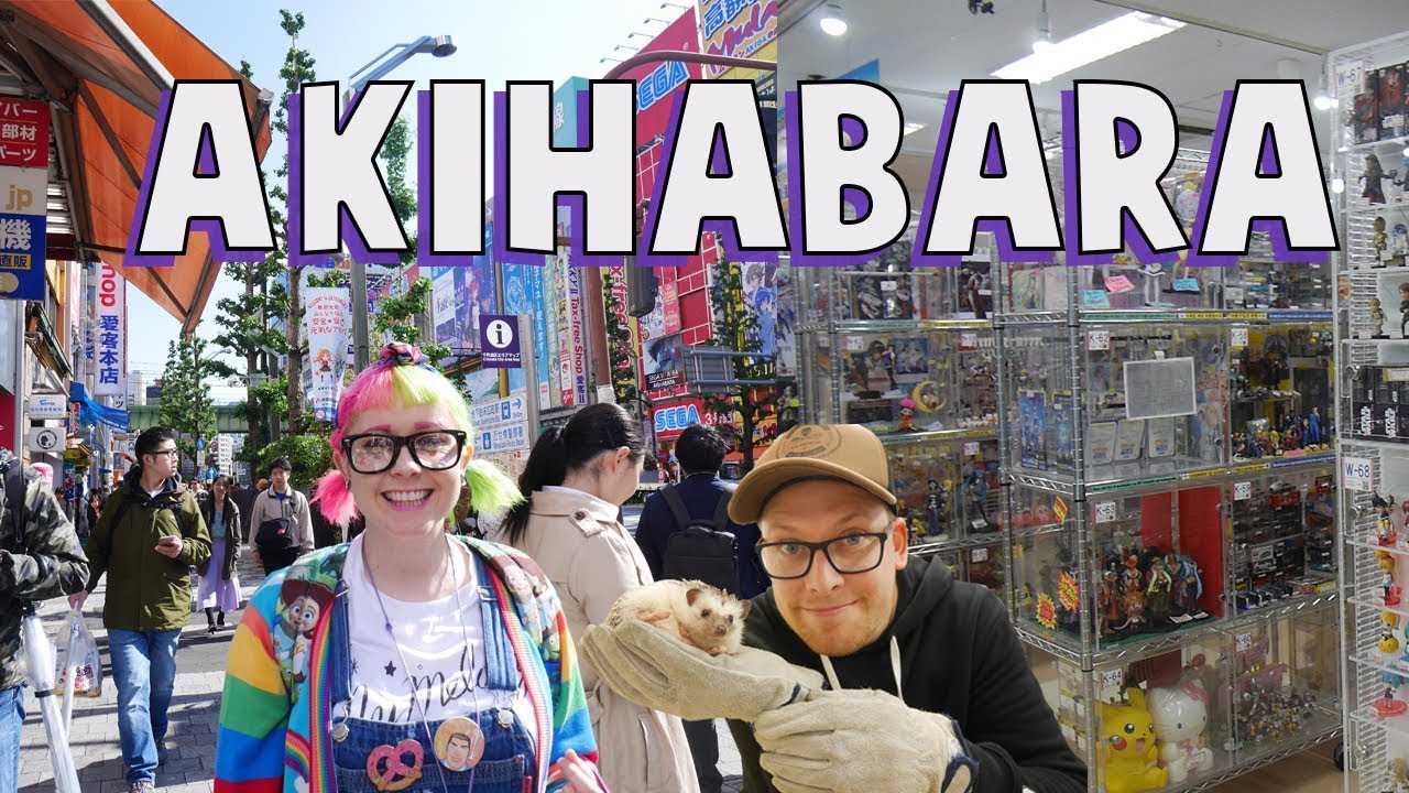 Akihabara- Anime Shopping & Hedgehog Cafe