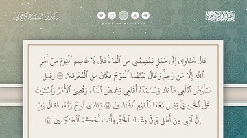 تلاوة من سورة هود || القارئ رعد الكردي