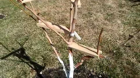 Tree Limb (Branch) Spreaders