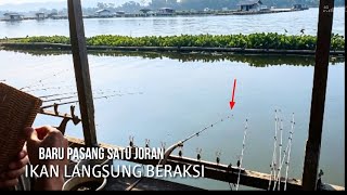 GILA...!!! BARU PASANG SATU JORAN IKAN  LANGSUNG BERAKSI ||mancing Saguling terbaru