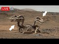 NASA Perseverance Rover Latest Images SOL | NASA Mars Video | Mars in 4k | Mars photo