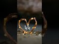 ابوي الحنين ابوي الغالي سندي وروحي امير احساسي