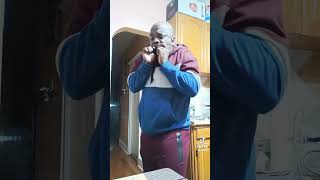 Download Lagu best harmonica player ever of all time MP3