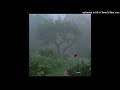 lusi + bladee type beat