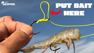 STOP Losing BAIT w/ This KNOT! (Egg Loop Knot Fishing Rig)