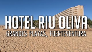 Riu Oliva Beach Resort, Fuerteventura | Grandes Playas | Restaurants | Room screenshot 3