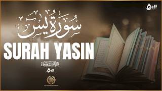 Surah Ya-Sin Full | Hope, resurrection, and mercy | Heart-Touching Quranic Peace | Before sleep