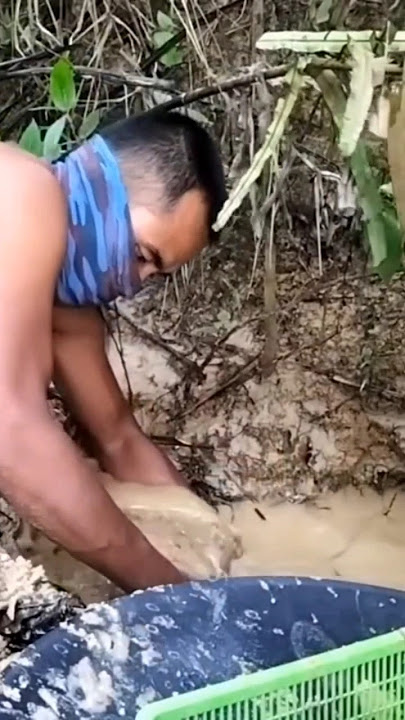 SUDDENLY RICH! FINDING THE BIGGEST GOLD NUMBER IN A TROPICAL FOREST #goldpanning #oro #trending