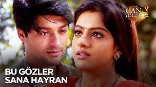 Sandiya Kocasına Geri Dönüyor - Can Yoldaşım Hint Dizisi 205. Bölüm