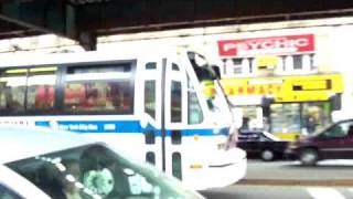 Brooklyn Buses