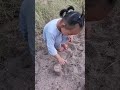 Little Baby Playing with Sand