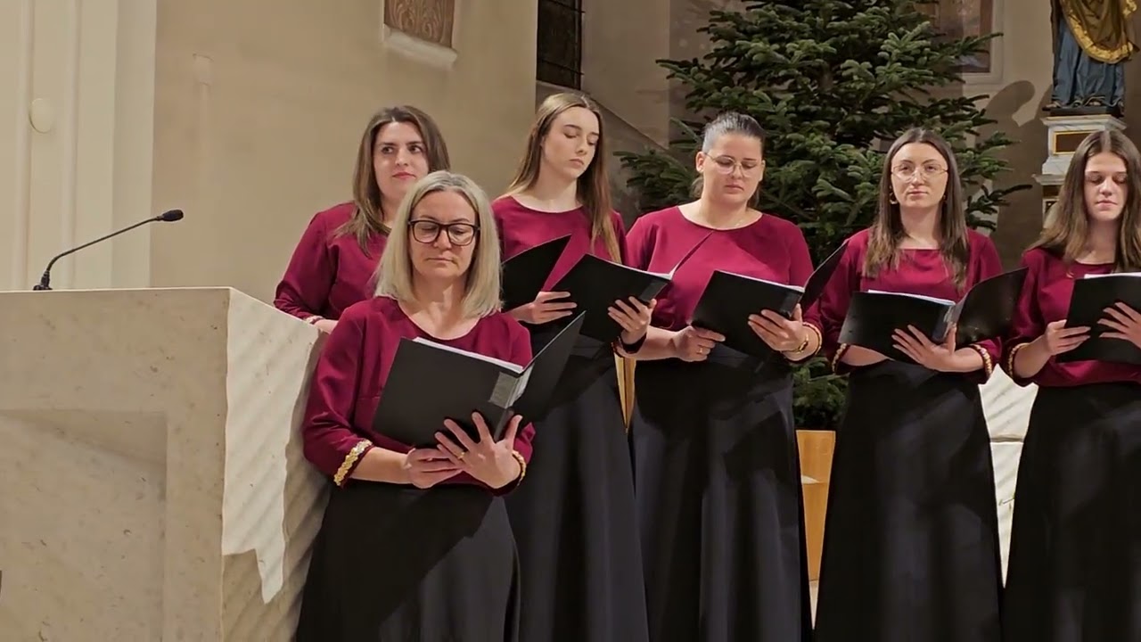 Svim na zemlji mir veselje - MVS 