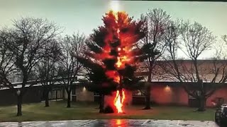 Lightning strike disintegrates tree outside Wisconsin high school