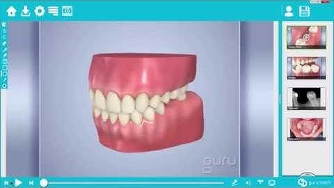 Guru Teach - Playback Options