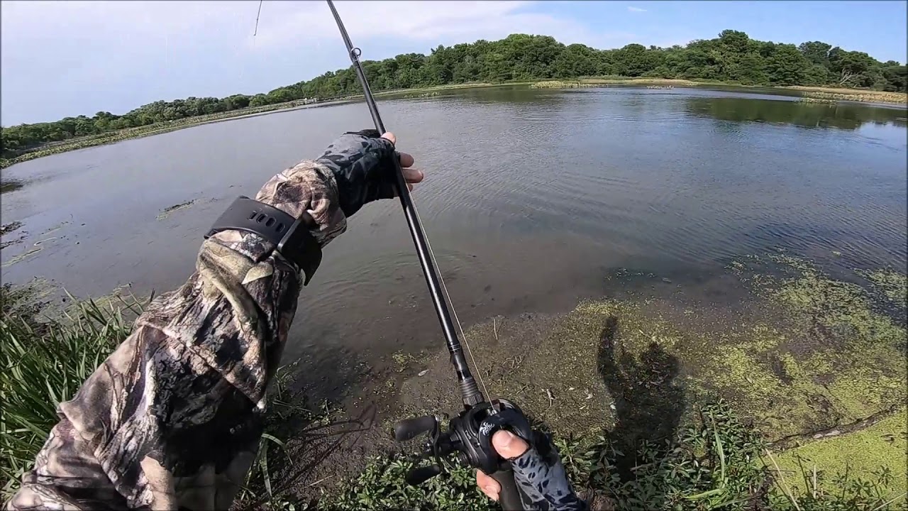 USA Snakehead Fishing 2020 V12 បបក់ត្រីនៅអាមេរិច ២០២០ ក្លីប១២ 