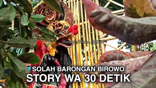 STORY WA 30 DETIK|| SIMO BARONG BIROWO