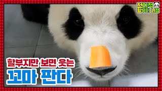 (SUB) What Would Happen If I Put Carrot On Panda's Nose?│Panda Family