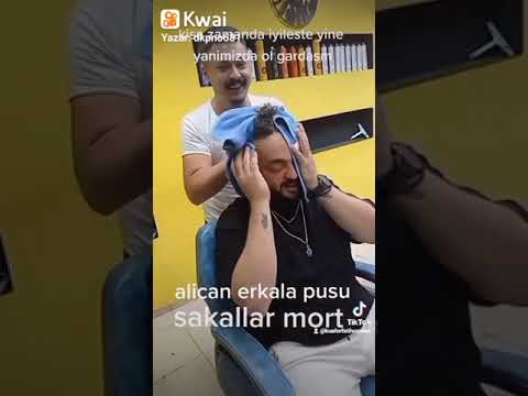 alican erkal