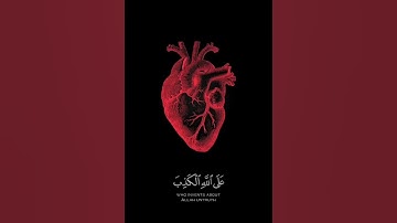 أيات عطره من القران الكريم