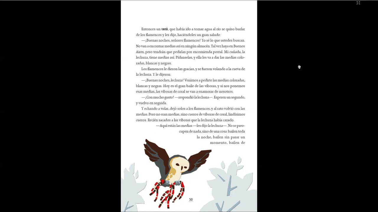 17 LAS MEDIAS DE LOS FLAMENCOS Español Libro de Lecturas 5 grado - YouTube