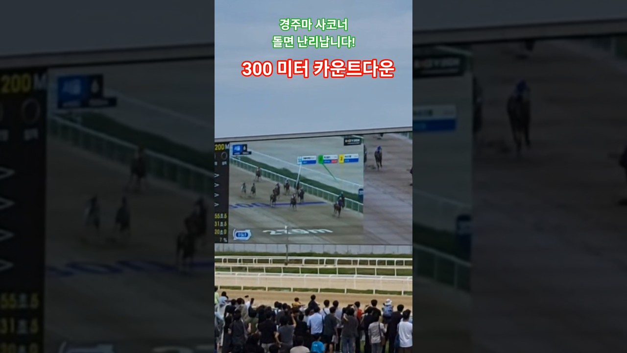 세계최대 127비젼 #경마#말 #달려라말 #shorts #한국마사회