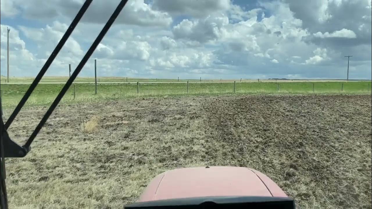 Land not farmed in 50+ years??? YouTube