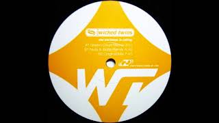 Wicked Twins - The Darkness Is Calling (Green Court Remix) (2000)