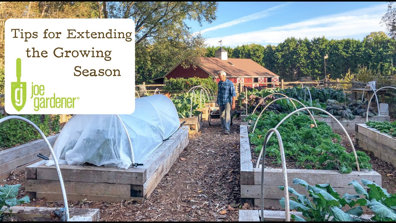 Tips for Extending the Growing Season YouTube