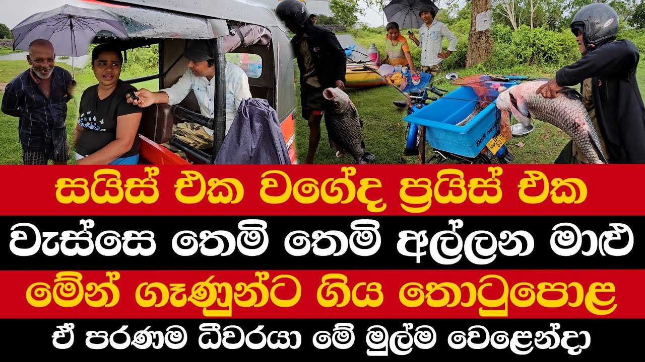 සයිස් එක වගේද ප්‍රයිස් එක | යකෝ මේක ගෑණුන්ට ගිය තොටුපොළ | ඒ පරණම ධීවරයා මේ මුල්ම වෙළෙන්දා