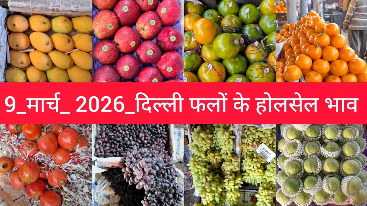 9 March 2026 दिल्ली आम और सभी फलों के भाव delhi fruit market price APMC #fruitmarket 