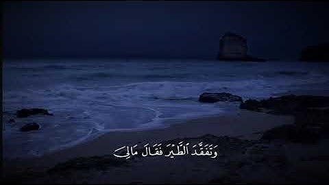 سورة النمل #اسلام_صبحي