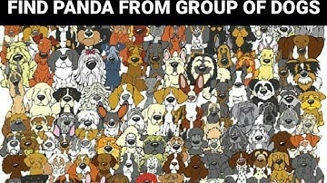 CAN YOU FIND HIDDEN OBJECT FROM PICTURE ? ||HIDDEN OBJECT GAME|| Find the odd one out.