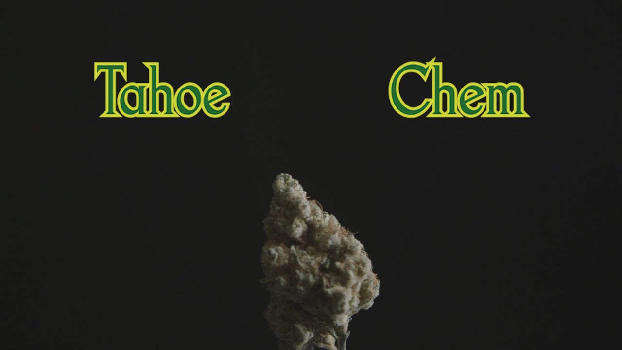 Item 9 Strain Review: Tahoe Chem by CRAFT Cannabis