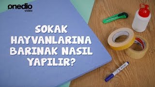 Sokak Hayvanlarına Barınak Nasıl Yapılır? Hem Kolay Hem Ucuz