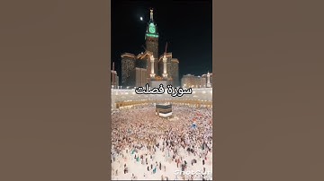 سورة فصلت