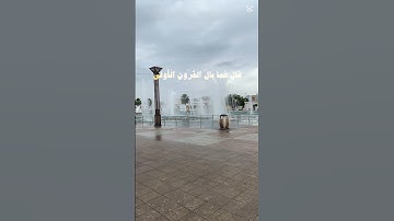 #تلاوة هادئة و #جميله جدا🎧 #محمد_ايوب .. #اكسبلور #سعود_الشريم #تيك_توك #المصحف #ترند #قرآن
