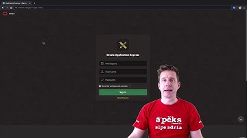 Oracle APEX 20.1 - Views and API