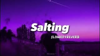 Salting ( Slowed reverb ) | Tiktok Viral Song | Indo Remix