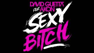 David Guetta - Sexy Bitch (Remix) ft. Akon, Pitbull