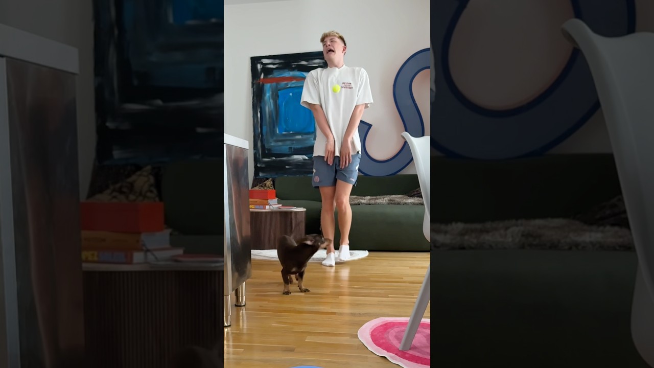 Ist das GEFÄHRLICH für Peppy?