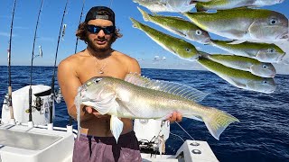 Catching TILE FISH for MONEY $$$$ (Commercial Fishing)