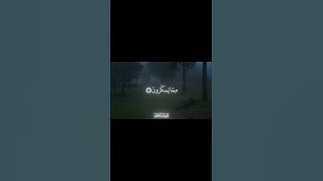 تلاوة بصوت الشيخ ماهر المعيقلي { ... وَلَئِن صَبَرْتُمْ لَهُوَ خَيْرٌ لِّلصَّابِرِينَ﴾[ النحل: 126]